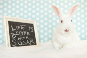 . Sugar .
