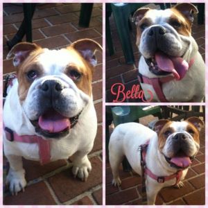 . Bella .