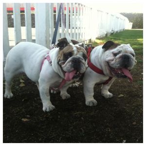 . Camilla and Junior .