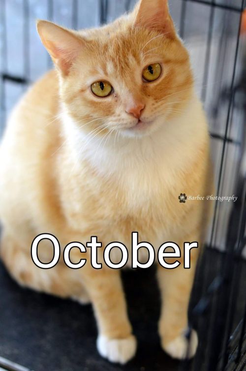October