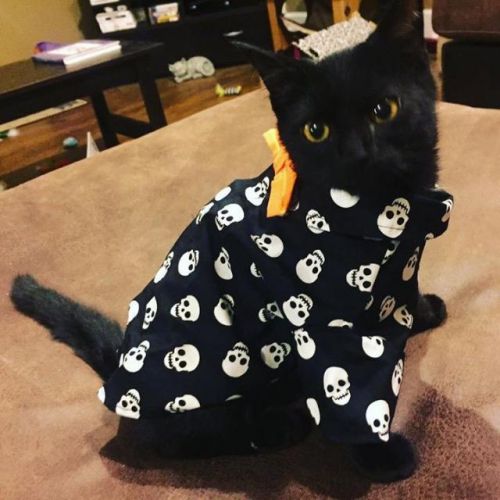 Binx