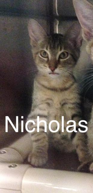 Nicholas