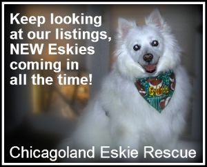Eskies Coming in!