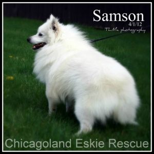 Samson