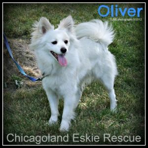 Oliver