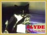 Clyde