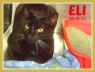 Eli