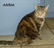 . Anna .