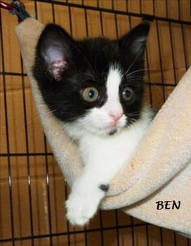 . Ben .