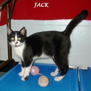 . Jack .