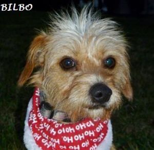 . Bilbo .