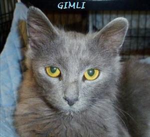. Gimli .