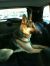 . Sawyer .