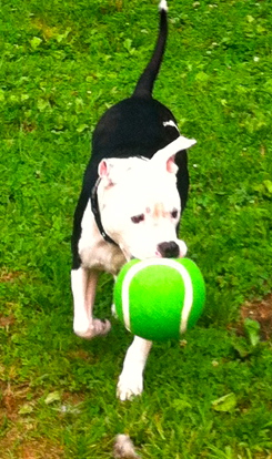 . --Coby .