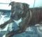 . --Romeo (urgent) .
