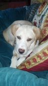 Baby Lucky