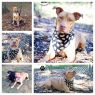 Available Pets NJ670.21763035 1 fpm Available Pets