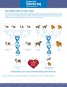 Available Pets NJ670.22343215 3 fpm Available Pets