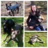 Available Pets NJ670.22821543 1 fpm Available Pets