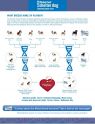 Available Pets NJ670.22821543 3 fpm Available Pets