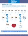 Available Pets NJ670.22935686 2 fpm Available Pets