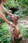 Available Pets NJ670.24590049 2 fpm Available Pets