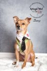 Available Pets NJ670.28004106 2 fpm Available Pets