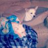 Available Pets NJ670.28022782 3 fpm Available Pets