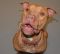 . ACE 08-28-2012-2 .