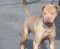 . Charlie 11-06-2013-1 .