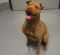 . Charlie 11-06-2013-1 .