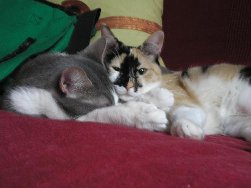 Photo of Jack & Dakota