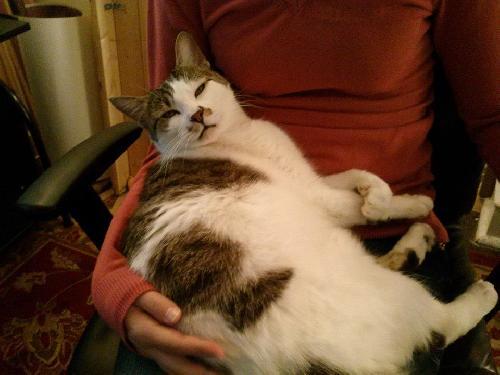 Photo of **sammie**