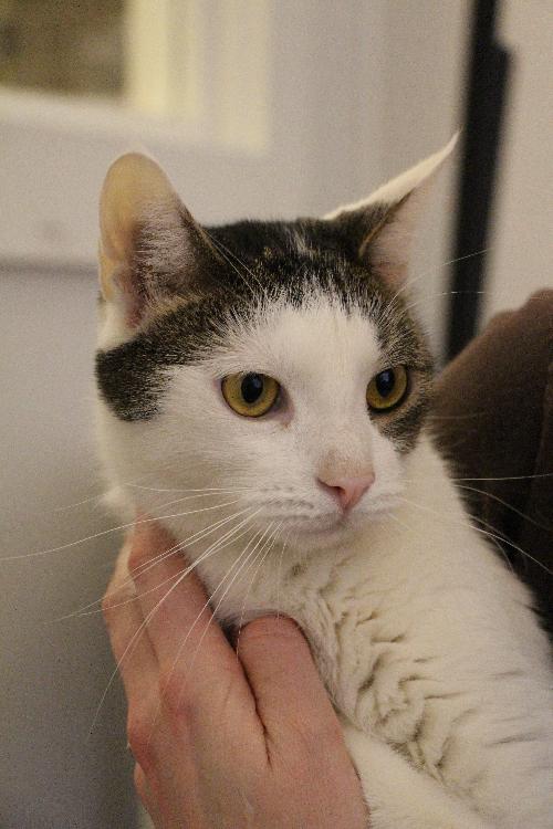 Photo of Kyote