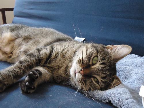 Photo of Penny