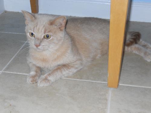 Photo of Mimi