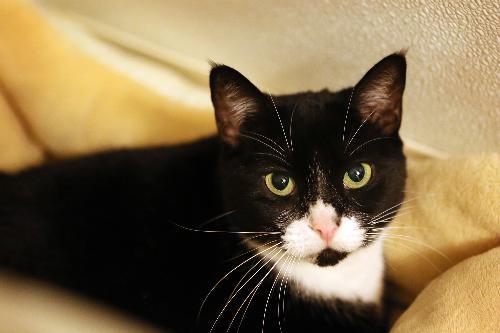 Photo of **leela**