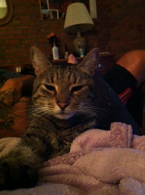 Photo of Oliver