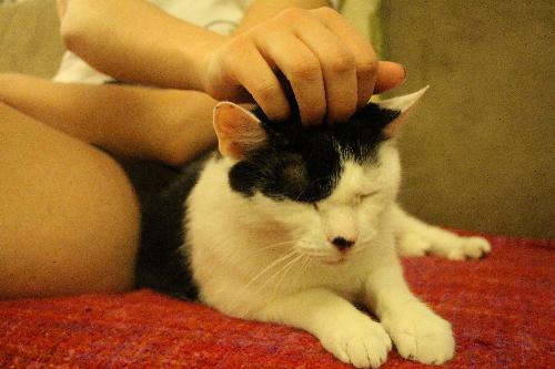 Photo of Simon
