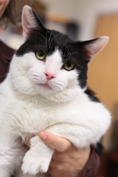 Photo of Tom