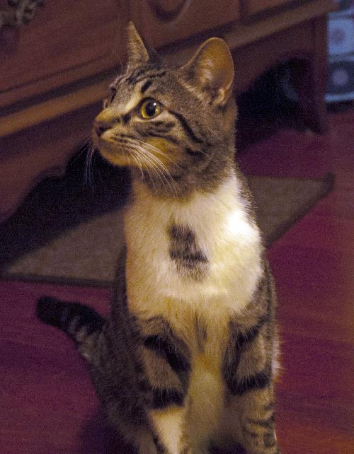 Photo of Bonnie