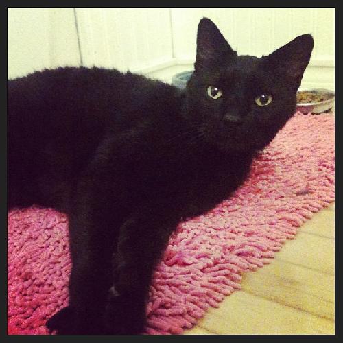 Photo of Clyde