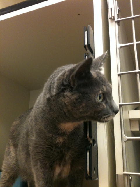 Photo of Gracie Lou