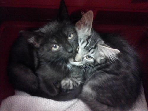 Photo of J. Walter Weathermeow