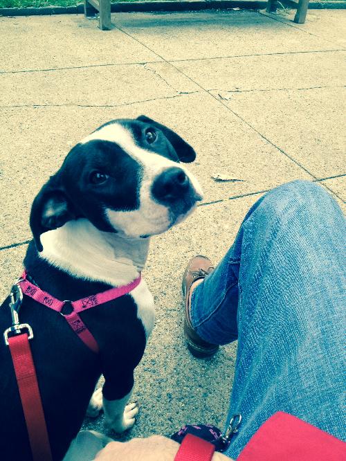 Photo of Lucy