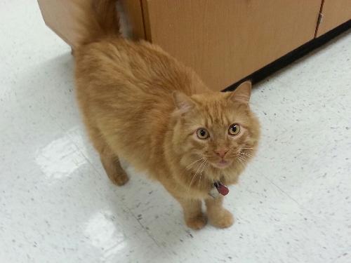 Photo of Oliver
