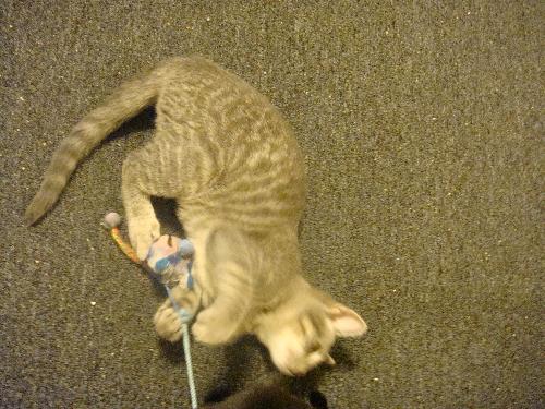 Photo of Cloudy
