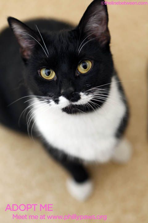 Photo of Lucy