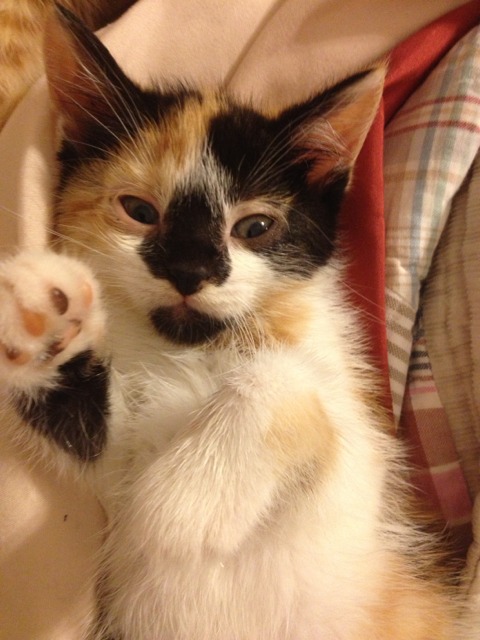Photo of Cloe