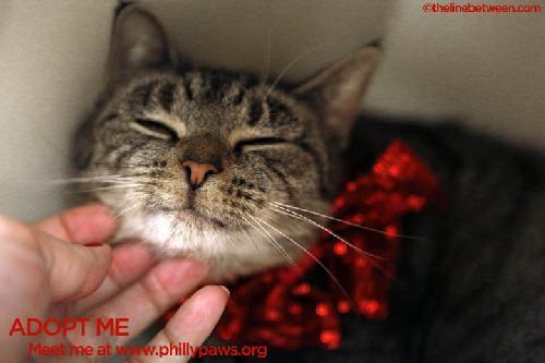 Photo of Gaia